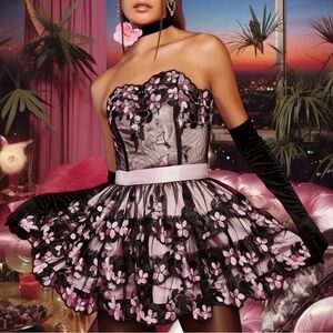 🩷DOLLSKILL SUGAR THRILZZ THE FINAL WALTZ LACE MINI DRESS🩷